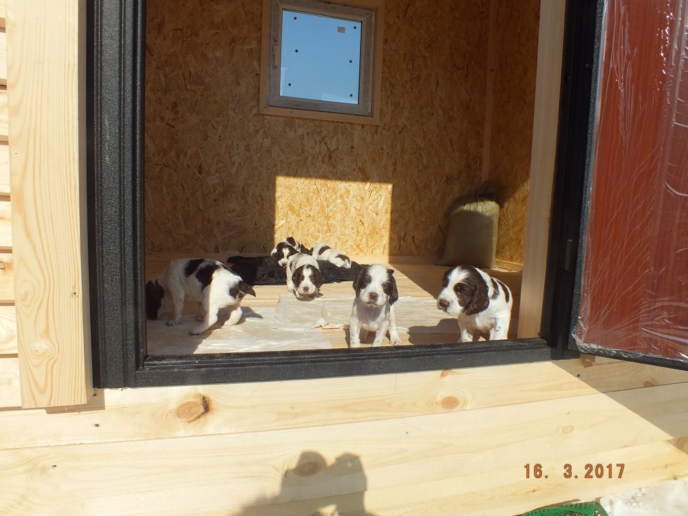DSCF8625.JPG