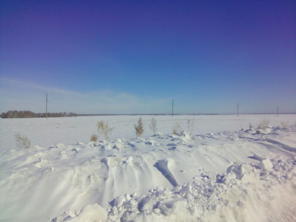 IMG-20170317-WA0013.jpg