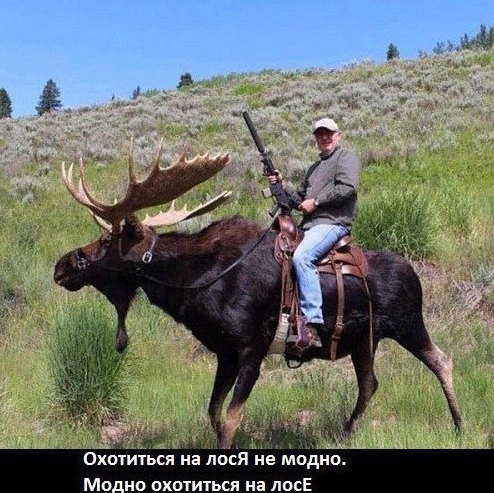 охот.png