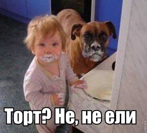 торт.jpg