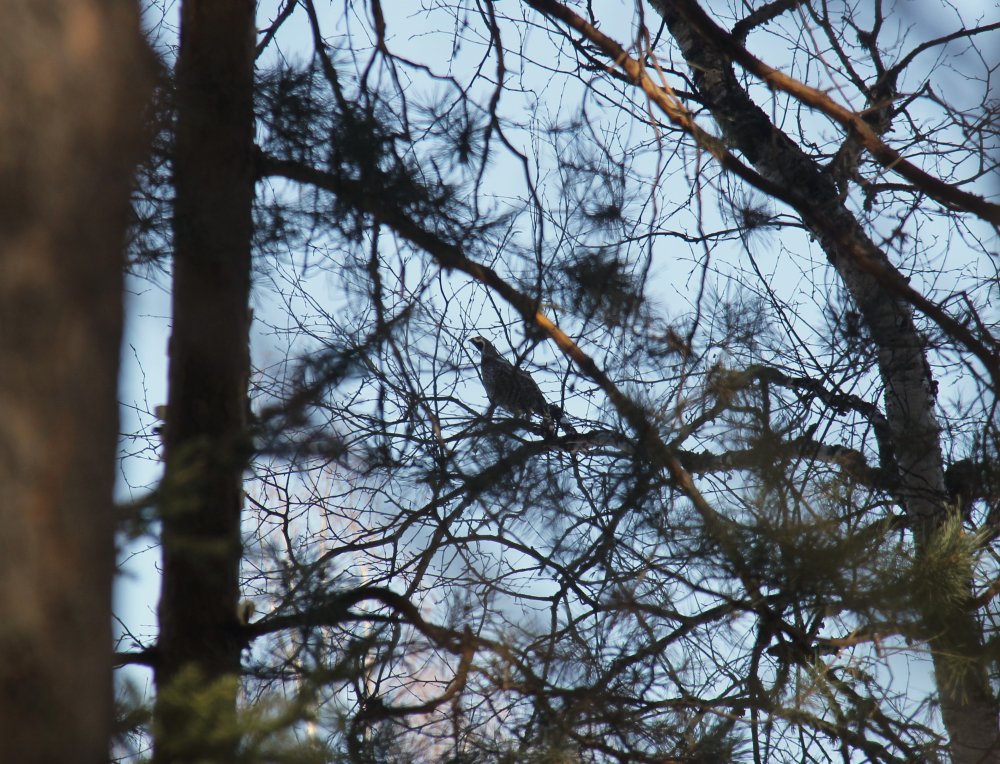 IMG_3352 - маленький 2.jpg