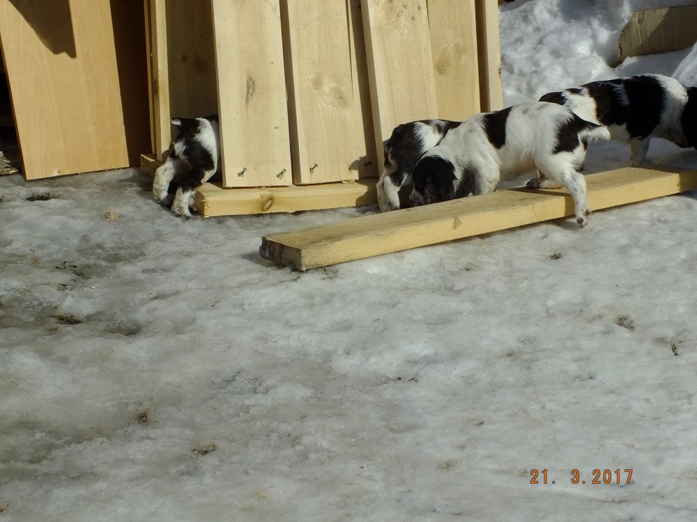 DSCF8667.JPG