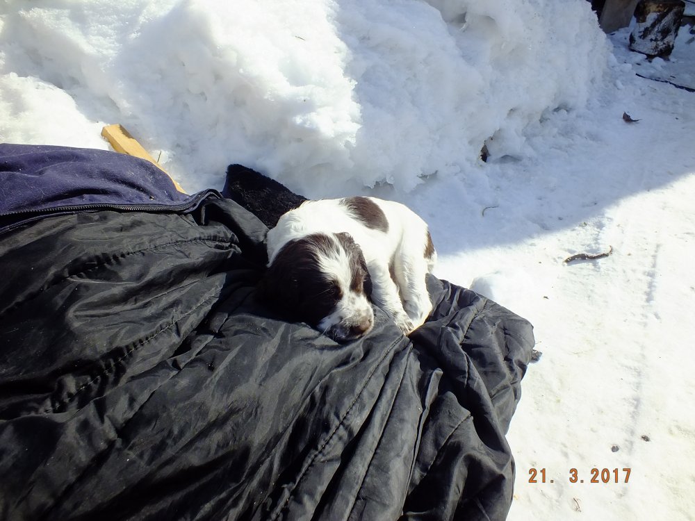 DSCF8670.JPG