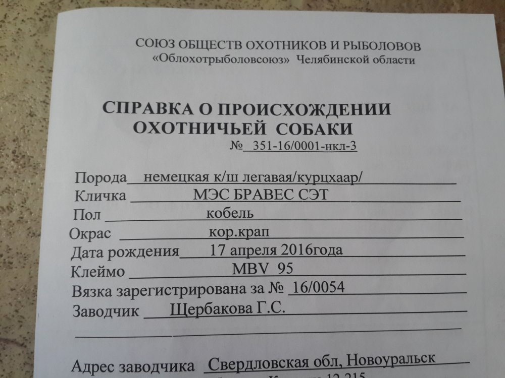 20170322_121805.jpg