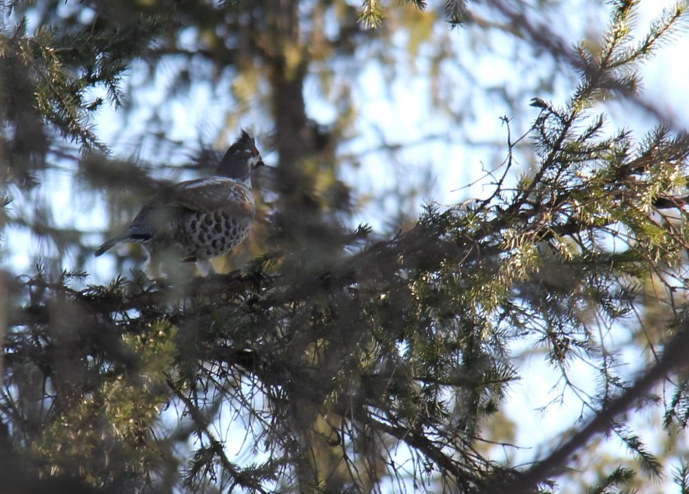 IMG_3402 - маленький.jpg