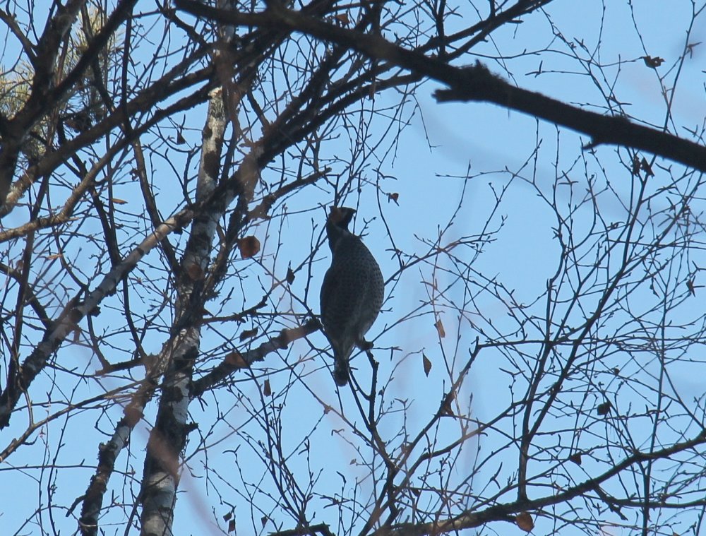 IMG_3379 - маленький 4.jpg