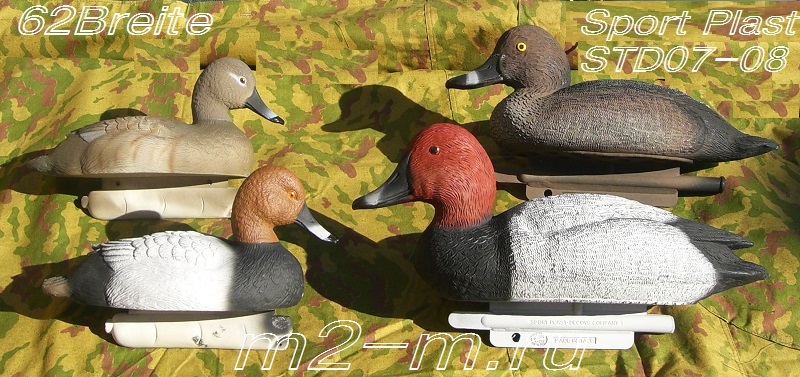 сравнение красноголовиков.JPG