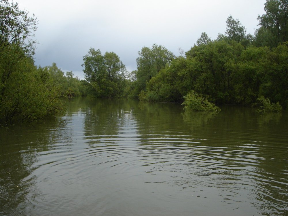 DSC05495.JPG