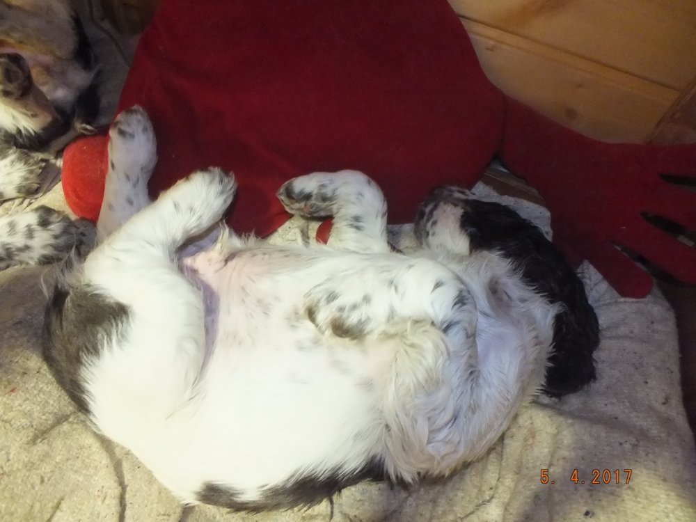 DSCF8778.JPG