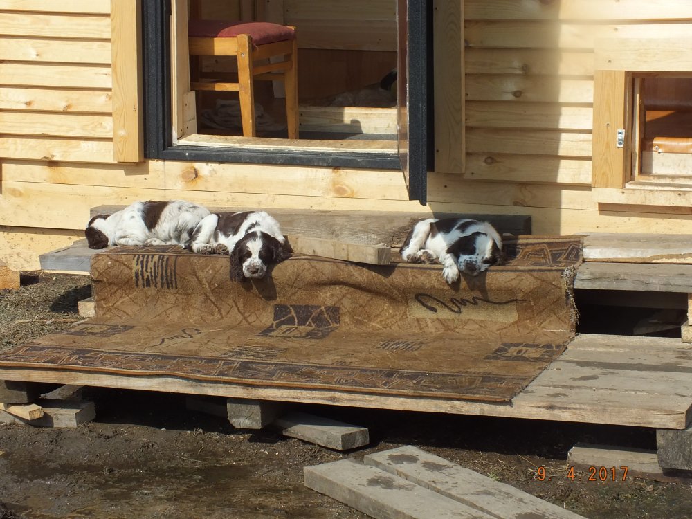 DSCF8799.JPG