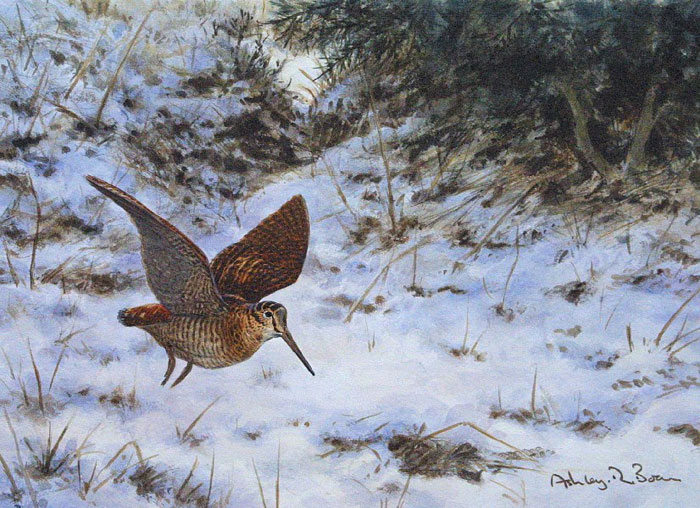 oxota_042.jpg