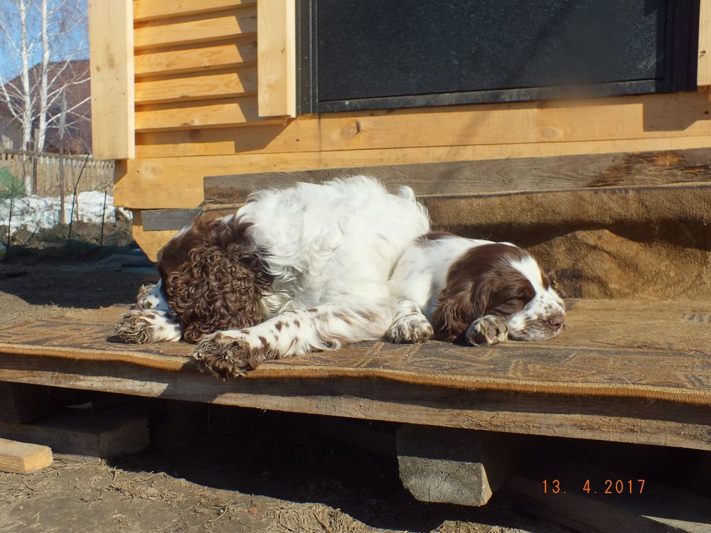 DSCF8818.JPG