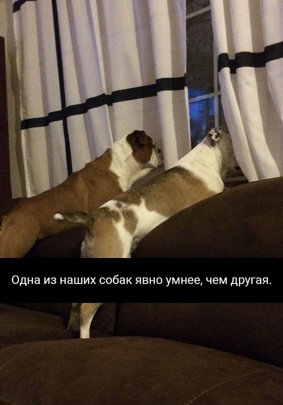 9591225.jpg