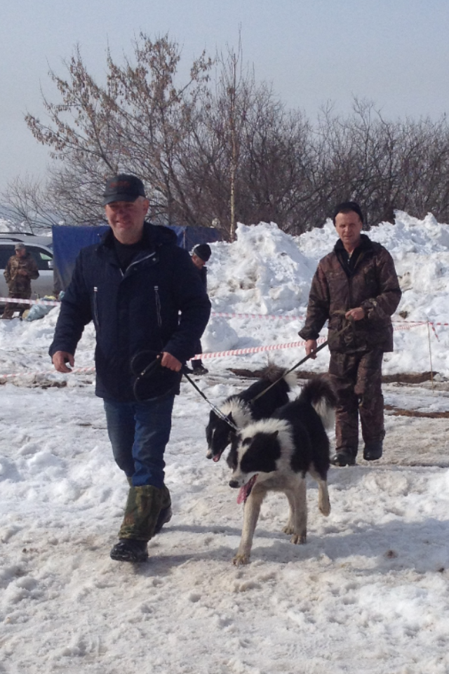 2017-03-25 20.38.34.PNG