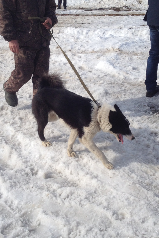 2017-03-25 20.38.51.PNG