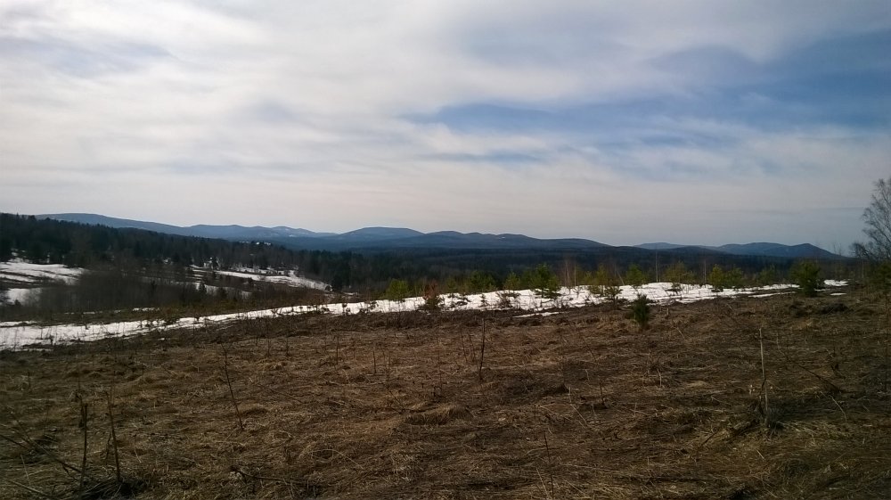 WP_20170416_10_44_10_Pro.jpg
