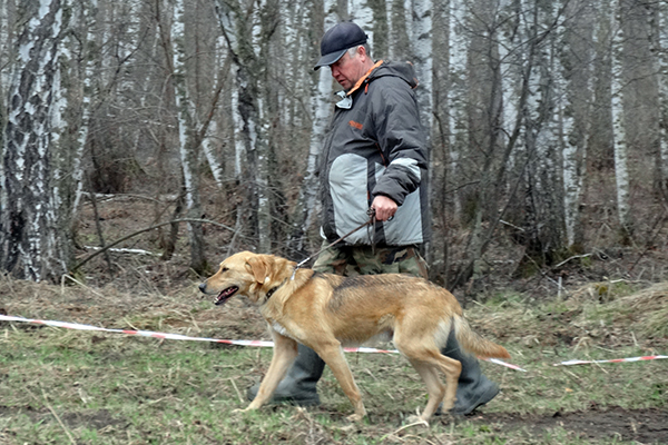 А-Страдай DSC09616.JPG