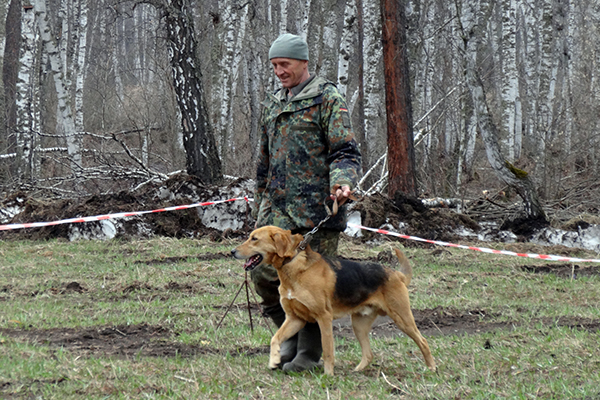 трубач РибDSC09647.JPG