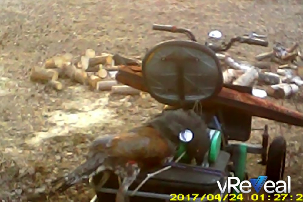 MOVI0011_snapshot_02.jpg