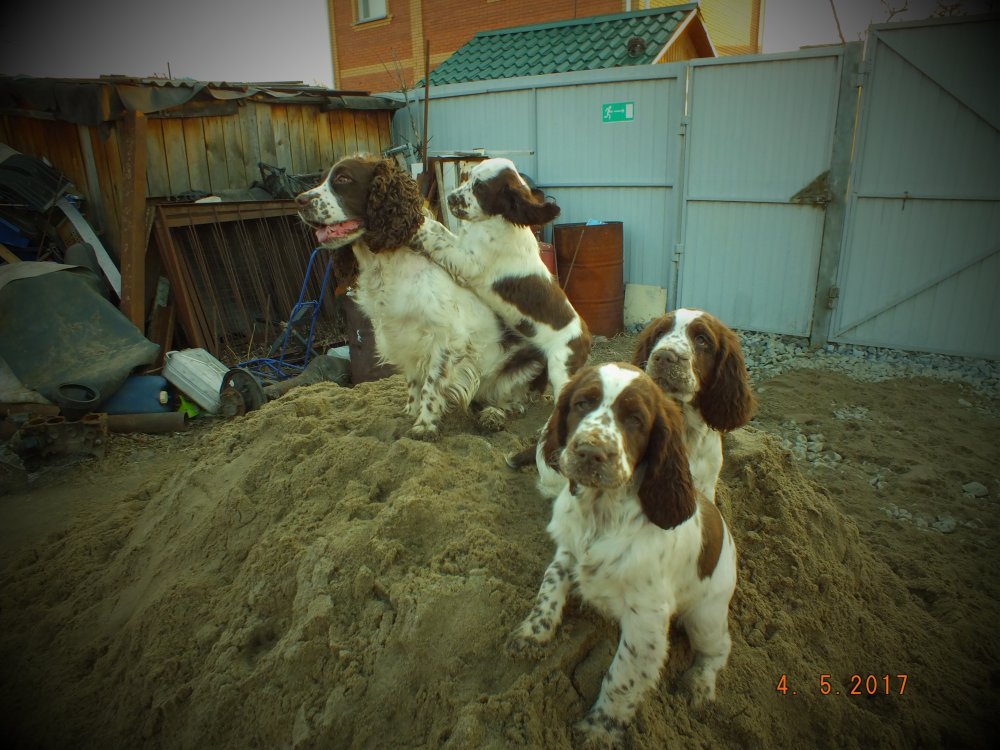 DSCF8916.JPG
