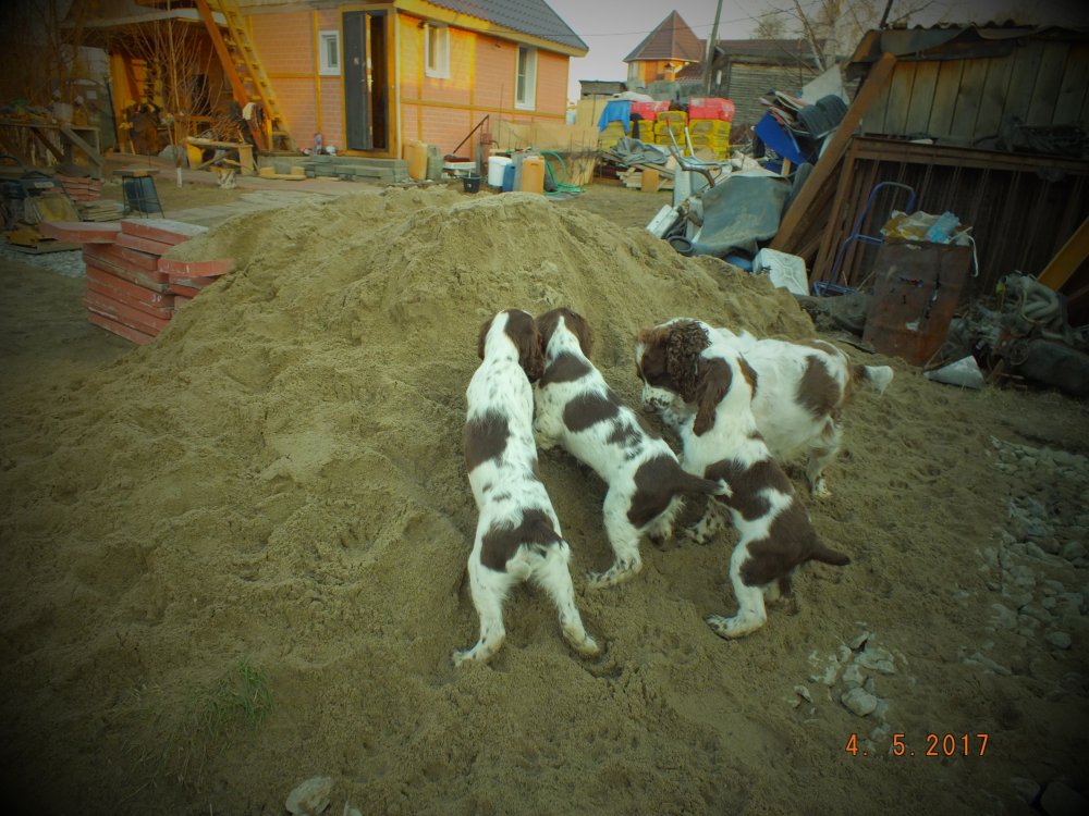 DSCF8912.JPG