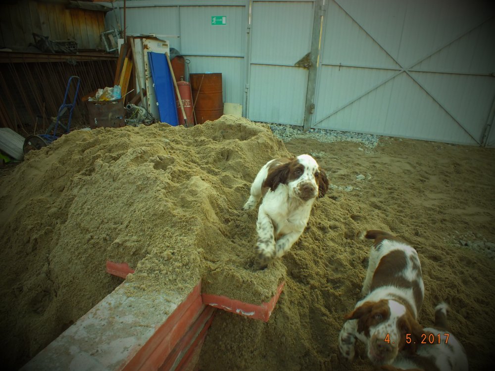 DSCF8914.JPG