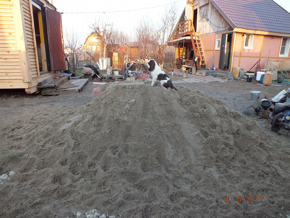 DSCF8910.JPG