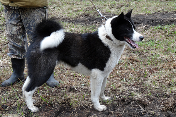 ukon__DSC09645.jpg