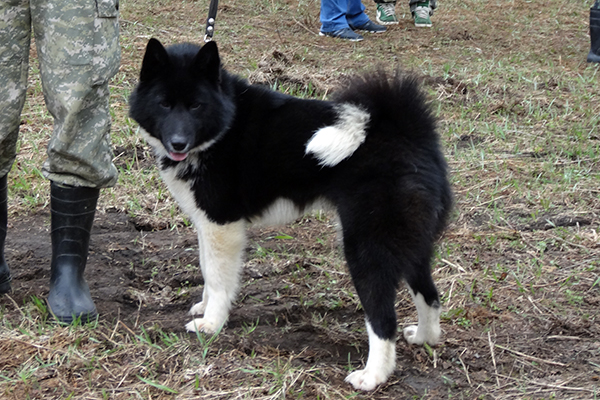 Taja_-__DSC09600.jpg