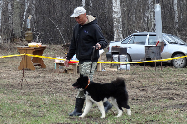 Taja_-_DSC09588.jpg