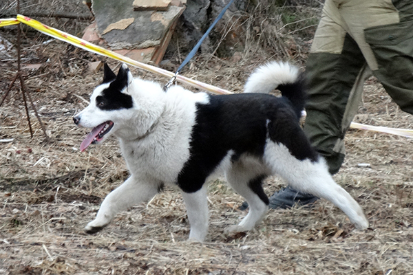 ahi__DSC09629.jpg