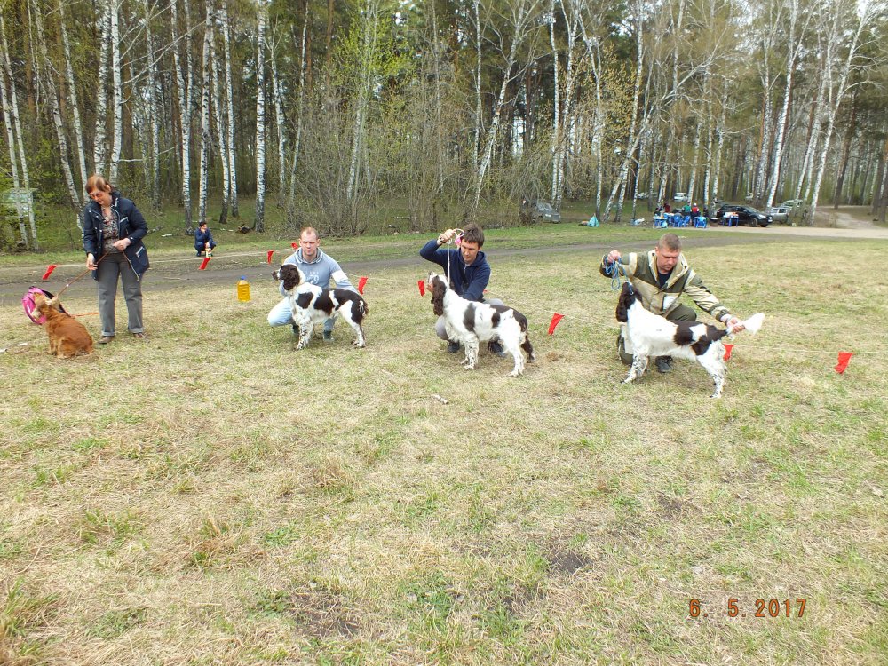 DSCF8931.JPG