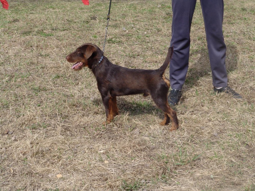 Экко выставка Новосибирск 2017.jpg