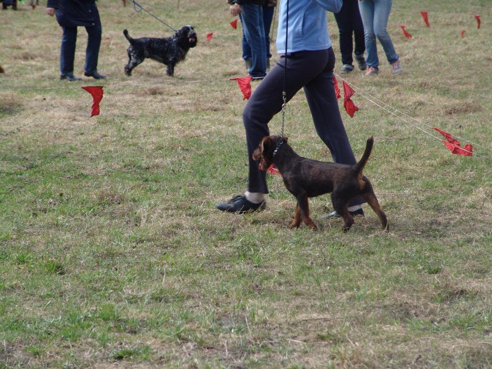 Экко выставка Новосибирск.jpg