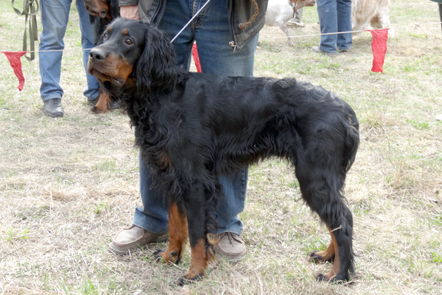 дон ТкаченкоDSC00126.JPG