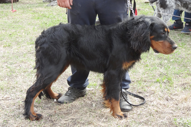 даниэлла DSC00128.JPG