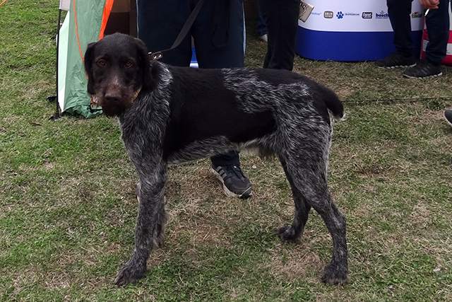 байрон 1DSC00392.JPG