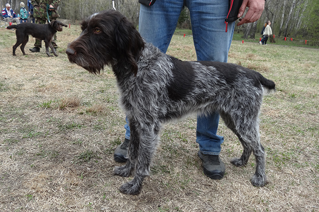 донга DSC00422.JPG