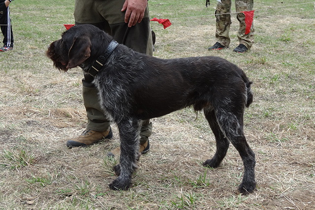 аксель коноваловDSC00490.JPG