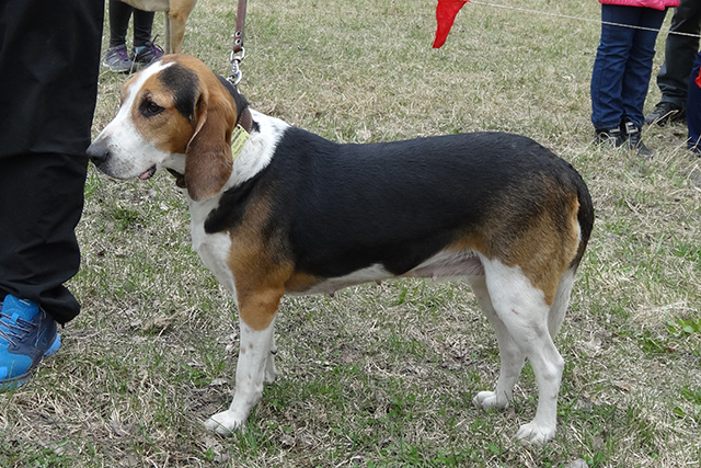 Айка ЗорькинDSC00166.JPG