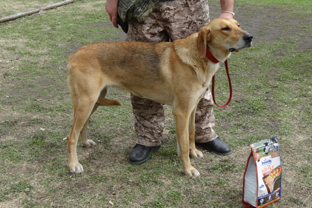 тропка герберDSC00467.JPG