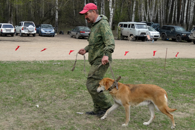 скрипка DSC00389.JPG