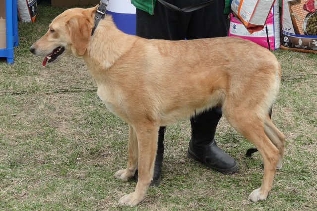 айка мазепа 1DSC00451.jpg