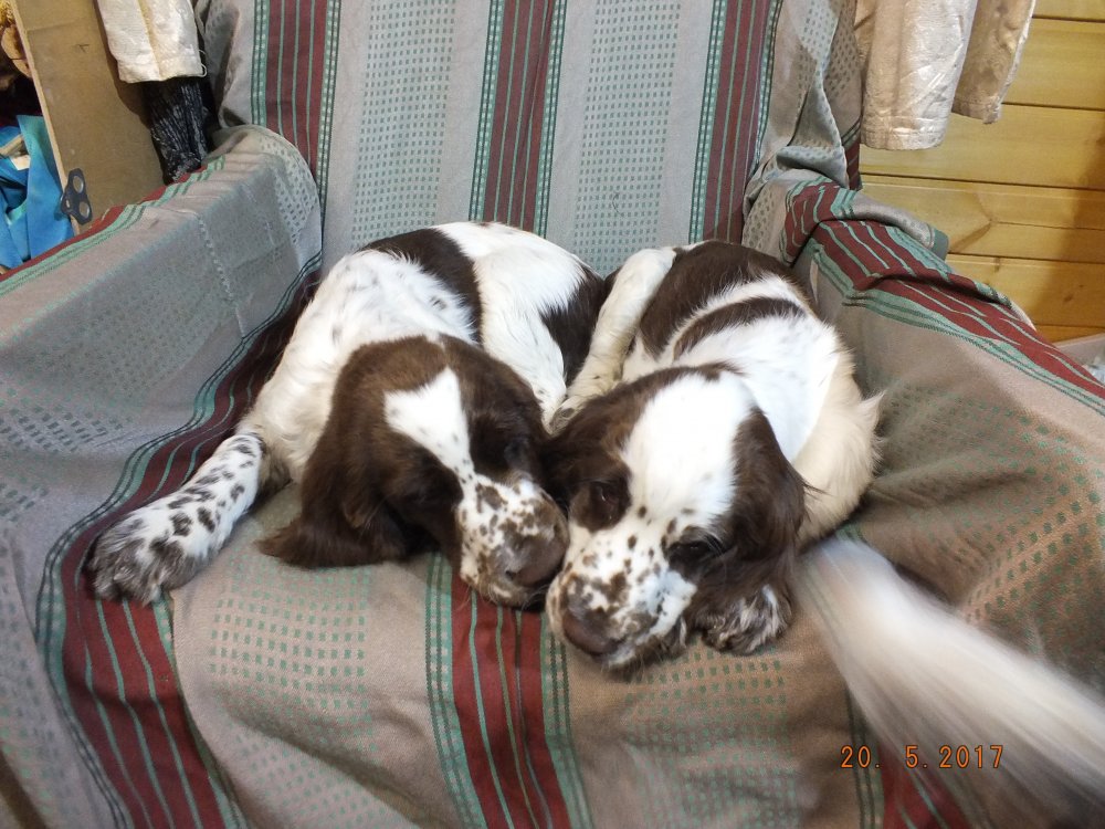 DSCF8955.JPG