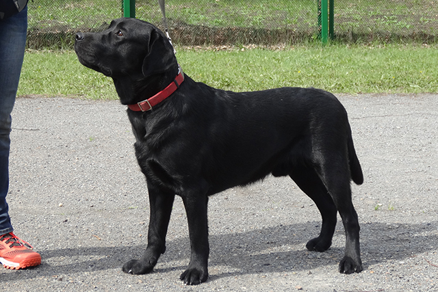 Саймон Нью Энджэл DSC00692.JPG