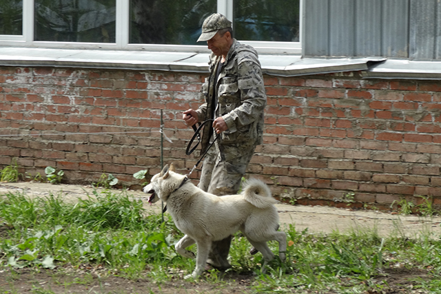 рэм олейниковDSC00714.JPG