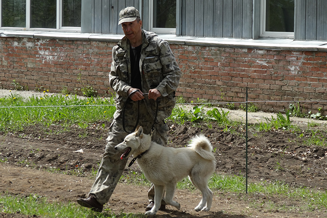 рэм олейниковDSC00715.JPG