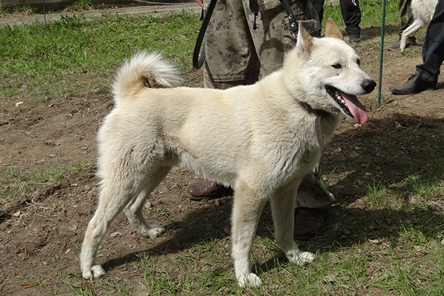 рэм олейниковDSC00717.JPG