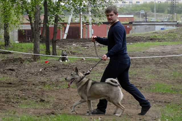 герда горбальDSC00735.JPG