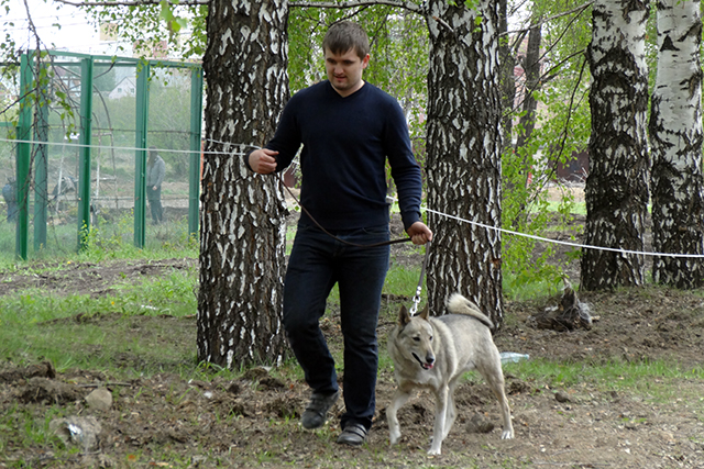 герда горбальDSC00736.JPG